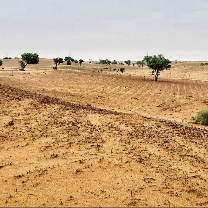 land image